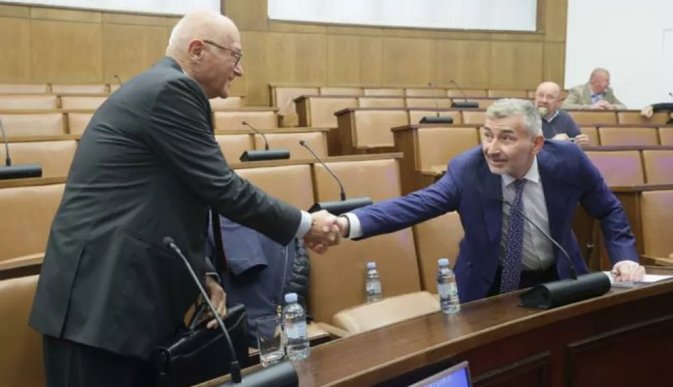 Davor Štern i Siniša Petrović