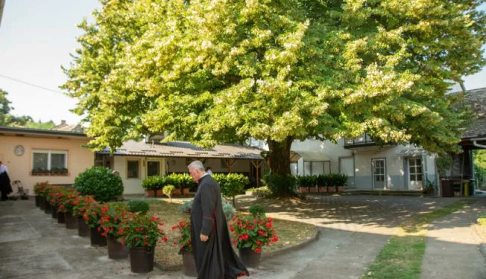 Prečasni Ante Markić zasadio je lipu prije 49 godina, kada je stigao u župu