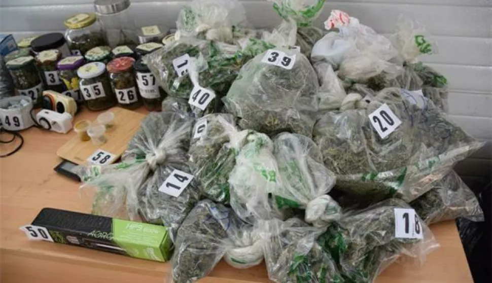 Uzgajali psilocibinske gljive i marihuanu u Belišću i Đakovu
