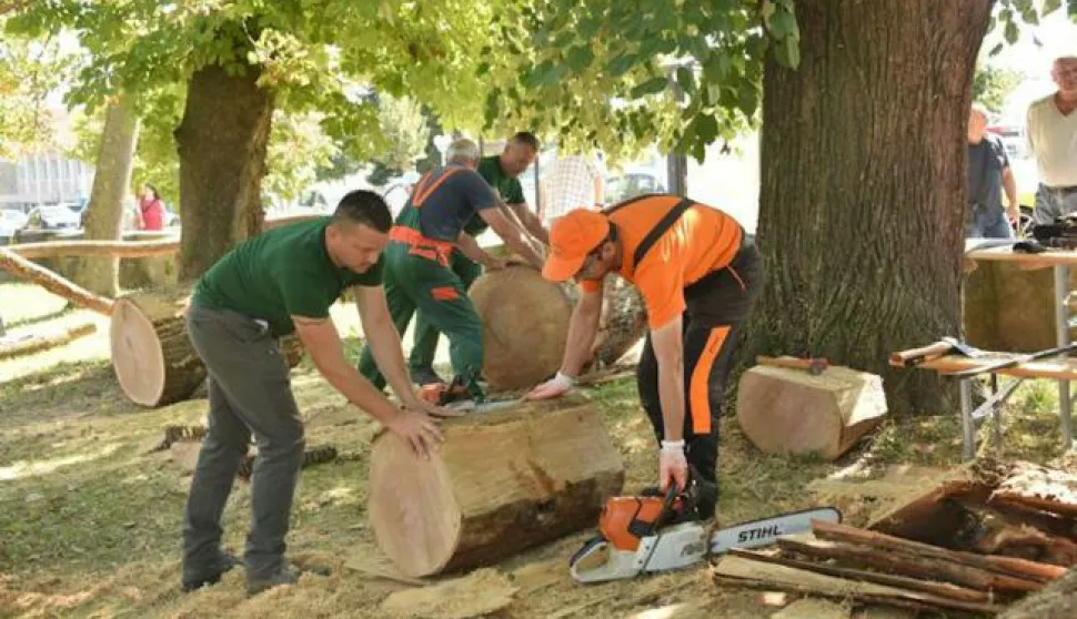 Demonstracija rada motornom pilom


