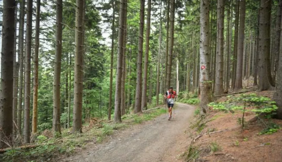 TRKAČI LAKIH NOGU: KORAK PO KORAK PREMA CILJU...
