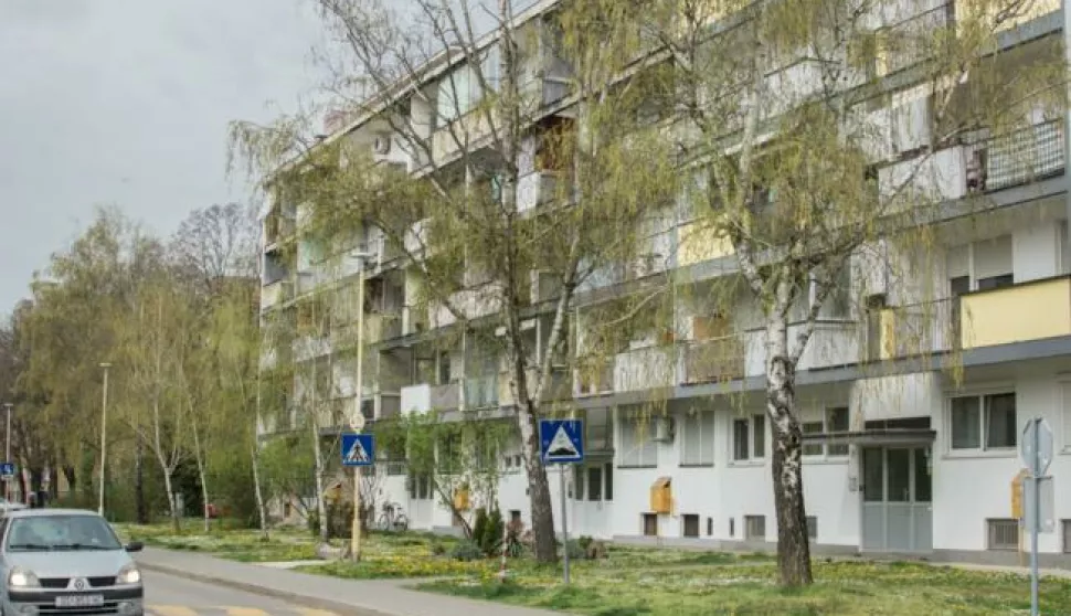 Uskoro će početi cvjetati breza