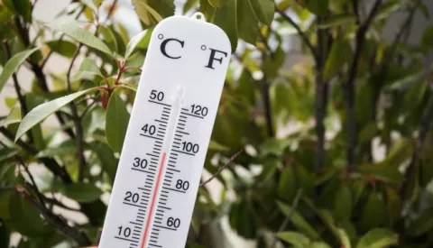 21.06.2024., Zagreb - Vrhunac toplinskov vala i temperature daleko iznad 35 stupnjeva. Photo: Emica Elvedji/PIXSELL