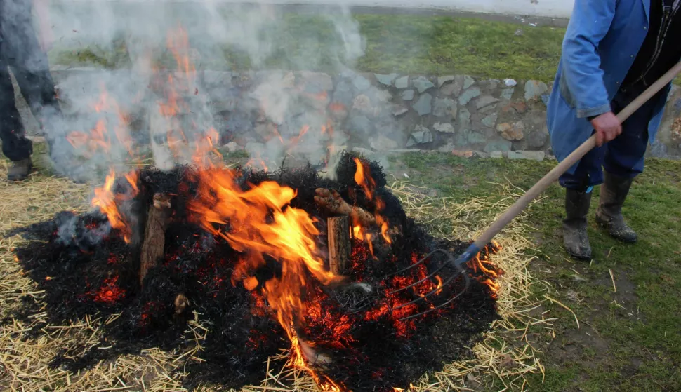 paljenje korova, strnište