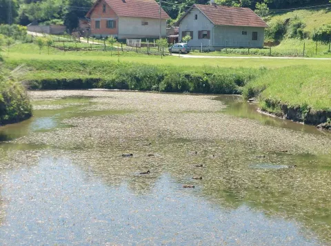 Jezero u Šarengradu