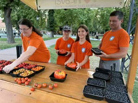 "Dan rajčica" u Vinkovcima - cijela obitelj Krunoslava Peića pokazala je svoje stare i egzotične sorte