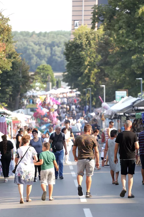 Aljmaš, 15. 08. 2024., Svetište Aljmaš, Velika Gospa, Aljmaš, Gospa od Aljmaša, gospa, detalji, totali, ilustracijeSNIMIO BRUNO JOBST