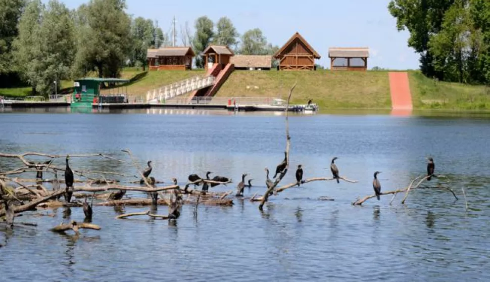 kopaиki rit, 21 svibnja 2021, 11,00 sati, dan zaљtite prirode, promocija zbornika radova 1 meрunarodnog simpozija green conference, zeleni, kopaиevo, kopacki, novinar darko pejiжsnimio zdenko puљiж