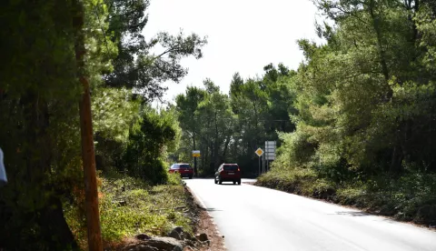 Pijani vozač naletio na peteročlanu obitelj na Viru, majka poginula