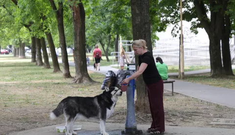 Osijek, 19. 08. 2024., Sjenjak, fotošetnja, zgrada, stambena zgrada, SNIMIO BRUNO JOBST