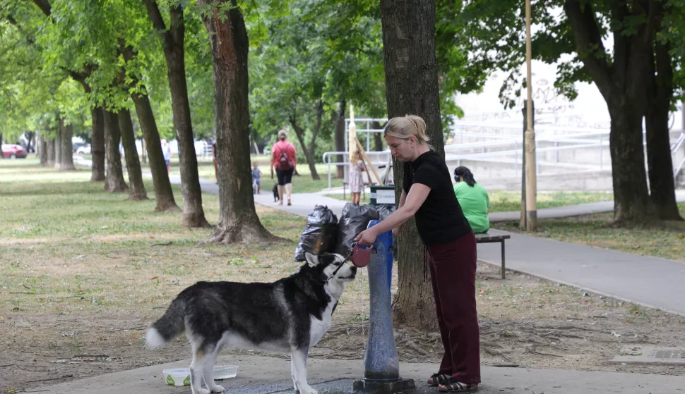 Osijek, 19. 08. 2024., Sjenjak, fotošetnja, zgrada, stambena zgrada, SNIMIO BRUNO JOBST