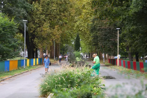 Osijek, 19. 08. 2024., Sjenjak, fotošetnja, zgrada, stambena zgrada, SNIMIO BRUNO JOBST