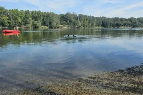 Utapanje kod Okrugljače