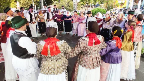 KUD Seljačka sloga Bogdanovci