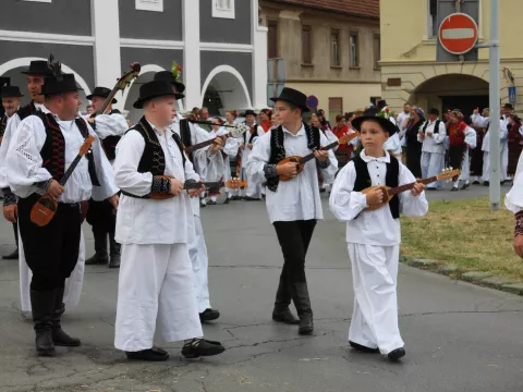 Festival Zlatne žice Slavonije 2024