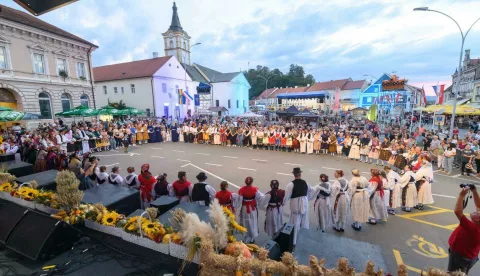 Zlatne žice Slavonije 2024