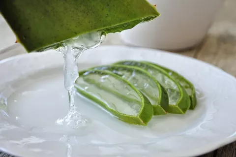 aloe aloe