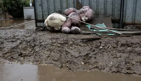 epa11606493 Two Teddy bears toys are laid the muddy ground in front of a house in the flood-affected village of Pechea, near Galati city, Romania, 15 September 2024. Six people have died in Galati County and about 10,000 homes have been damaged as a result of flooding caused by heavy rains brought by Cyclone Boris, Romanian authorities announced, as operations in the affected areas are challenging due to floods blocking several roads. EPA/ROBERT GHEMENT