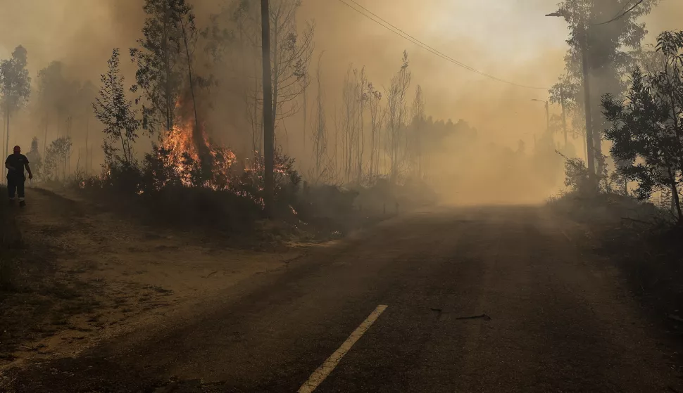 epa11608354 A forest fire burning in Soutelo, Albergaria-a-Velha, Portugal, 16 September 2024. Around 70 people had to be evacuated and at least five properties, including homes, were hit by flames in different rural fires that broke out in the northern and central regions of Portugal, according to the Civil Protection. EPA/PAULO NOVAIS