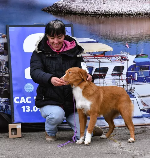 pas izložba Slavonia dog shows 24,