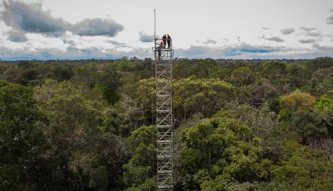 epa10649115 A handout photo made available by the Brazilian Ministry of Science, Technology and Innovation shows an open-air structure that will help to discover in advance what the future of the biome will be like due to climate change, in Manos, Brazil, 23 May 2023. Located about 80 kilometers from Manaus, the capital of the state of Amazonas, the AmazonFACE project will make it possible to predict the capacity of the forest to absorb carbon dioxide (CO2) as the gas increases in the atmosphere. EPA/Raul Vasconcelos/HANDOUT HANDOUT EDITORIAL USE ONLY/NO SALES