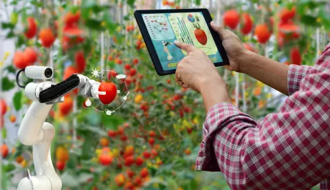 Farmer holding a tablet smart arm robot harvest work agricultural machinery technology