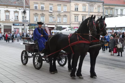 Osijek, 21. 09. 2024., Trg A. Starčevića, Dan Mađara, gastronomija, nošnje, mimohod, KUD-oviSNIMIO BRUNO JOBST