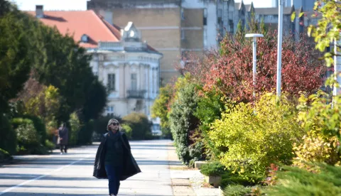 OSIJEK- 19.10.2020., jesen u gradu, jesenska setnja, boje, opadanje lisca, parkovi, Promenada, jesen, slobodnjak.Foto: Andrea Ilakovac