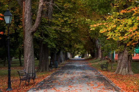 OSIJEK- 08.10.2020., Perivoj kralja Tomislava, jesen, jesen u gradu, suho lišće, šarenilo boja, jesenski detalji u parku, slobodnjak.Foto: Andrea Ilakovac