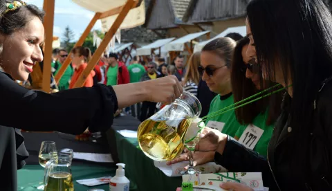 Vinski maraton, Zmajevac, rujan 2020.