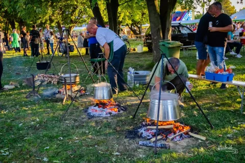 22. Čepinski suncokreti