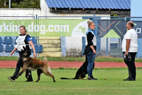 slavonija...Vinkovci...26.09.2024.stadion HNK Cibalia; FCI-IGP Svjetsko prvenstvo za radne pse;foto Gordan Panić