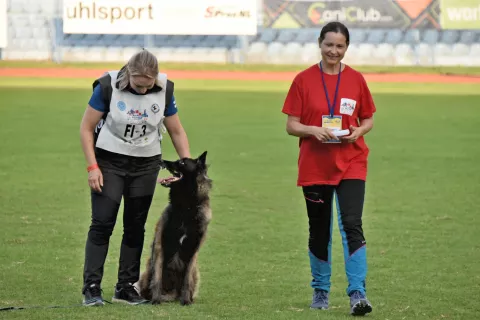 slavonija...Vinkovci...26.09.2024.stadion HNK Cibalia; FCI-IGP Svjetsko prvenstvo za radne pse;foto Gordan Panić