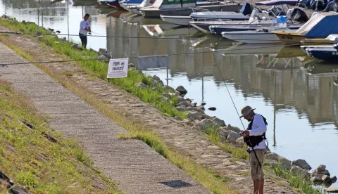 Osijek, 11. 08. 2024, Zimska luka. Urban Fishing League - natjecanje u sportskom ribolovu varalicom.snimio GOJKO MITIĆ