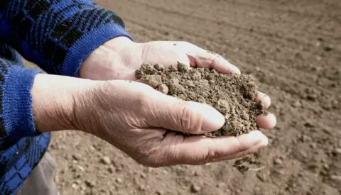 Velika suša na području Slavonije i Baranje 26.03.2019., Osijek - Ovakav nedostatak oborina pocetkom godine ratari Slavonije i Baranje ne pamte unazad 33 godine. Uz nedostatak kise i jak vjetar dodatno isusuje zemlju te je ona tvrda poput kamena. Poznato je da Hrvatska nema dovoljno povrsina u sustavu natapanja pa ratare ocekuje teska godina. Photo: Dubravka Petric/PIXSELL