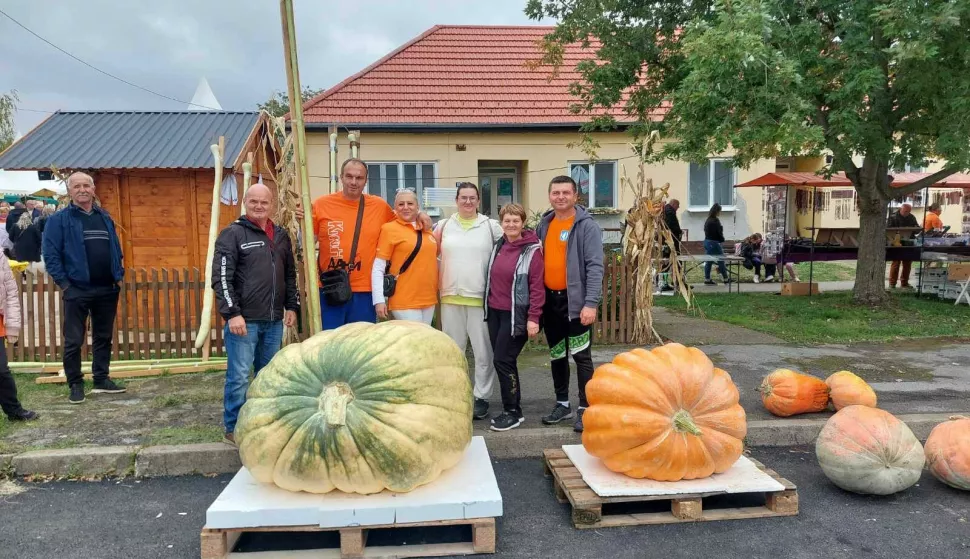 18. Tovarnički jesenski festival - pobjedničke bundeve i njihovi uzgajivači