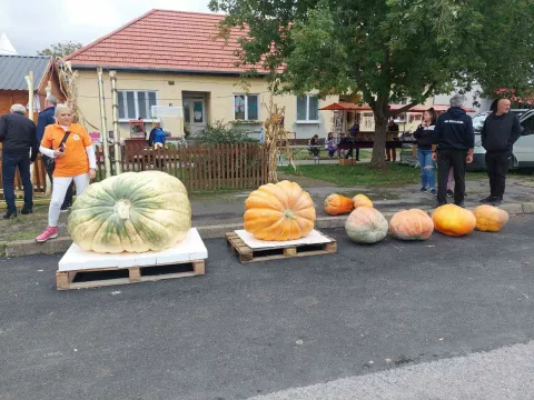 18. Tovarnički jesenski festival