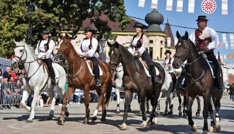 slavonija...Vinkovci...22.09.2024.59. Vinkovačke jeseni; svečani mimohod 70-tak KUD-ova, 30 zaprega i 60 konjanika;foto Gordan Panić