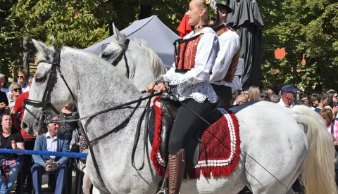 slavonija...Vinkovci...22.09.2024.59. Vinkovačke jeseni; svečani mimohod 70-tak KUD-ova, 30 zaprega i 60 konjanika;foto Gordan Panić