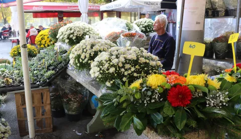 Osijek, 28. 10. 2024, Glavna tržnica na Gajevom trgu. Ponuda cvijeća, krizantema i ostalog cvjeća na tržnici, uoči Svih Svetih.snimio GOJKO MITIĆ