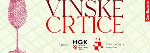 Vinske crtice