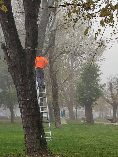 Postavljanje ukrasa u gradskom parku, studeni 2024.snimila Marija Lešić Omerović