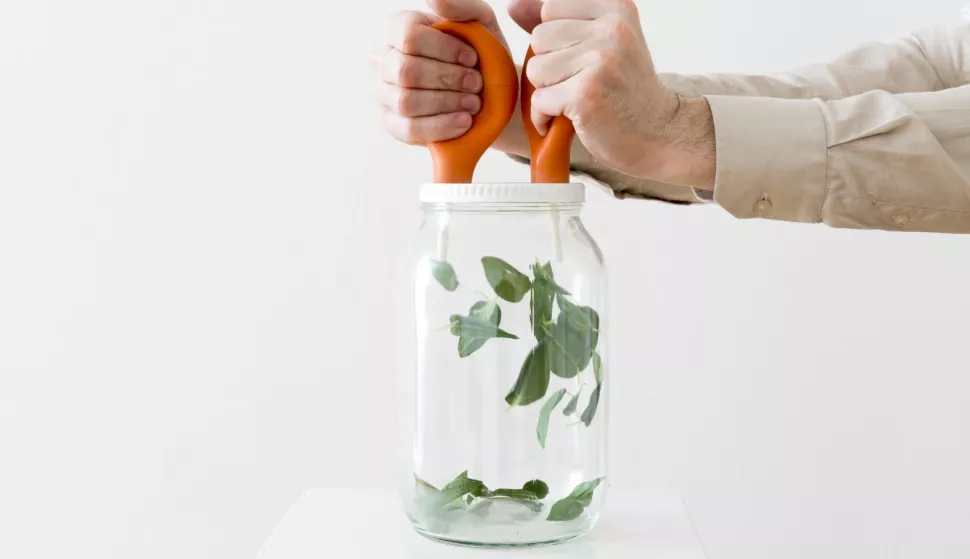 Rad Margarete Lekić (1982., Osijek)