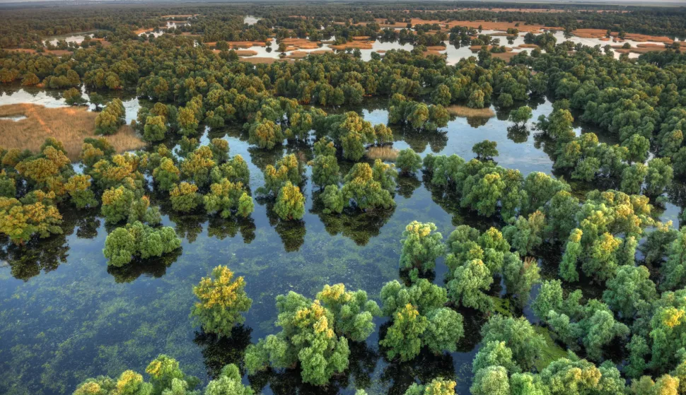 močvara stani&scaron;te topić
