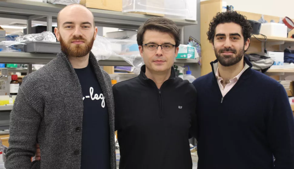 Tim s Yalea: slijeva - Zvonimir Vrselja iz Osijeka, Nenad &Scaron;estan i Stefano G. Daniele, ustupljena fotografija