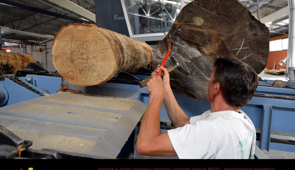 07.07.2015., Bjelovar - Proizvodni pogoni bivse drvne industrije Cesme iznova, pod okriljem nove tvrtke Tehno drvo i novog vlasnika Joze Kalema, rade punom parom, a vecina bivsih radnika Cesme, pri cemu prednjace zene, ponovno je na svojim radnim mjestima u novoizgradjenim pogonima. U krugu bivse posrnule tvrtke Cesma, kasnije i posrnule Spacve, na mjestu gdje su bile tvornice Sperploca i Furnir, niknuli su novi proizvodni pogoni te susare za preradu drveta. Investicijska ulaganja u pogone, opremu i strojeve premasuju 200 milijuna kuna, a ona ce se i povecavati prosirivanjem proizvodnih pogona do kraja 2015. Trenutacno je zaposleno 125 radnika, a bitno je da su prioritet kod zaposljavanja imali bivsi radnici Cesme d.d. Do kraja kolovoza 2015. u planu je zaposljavanje jos 25 radnika pokretanjem finalne proizvodnje lamela. Tehno drvo d.o.o. PC Bjelovar tvrtka je koja se bavi drvnom proizvodnjom od primarne obrade trupaca do izrade finalnog proizvoda. Proizvodnja je organizirana u dva glavna procesa, prvi obuhvaca raspilivanje trupaca na suvremenoj opremi kapaciteta u 40 m3 po smjeni. Proizvodnja je organizirana u tri smjene. Drugi dio prerade drveta i proizvodnja elemenata odvija se na digitaliziranim linijama u skladu s visokim standardima razvijenih zemalja. Cjelokupni proizvodni program se izvozi u zapadnoeuropske zemlje, u prvom redu u Austriju i Svicarsku te Dansku, Svedsku i Njemacku.Photo: Damir Spehar/PIXSELL