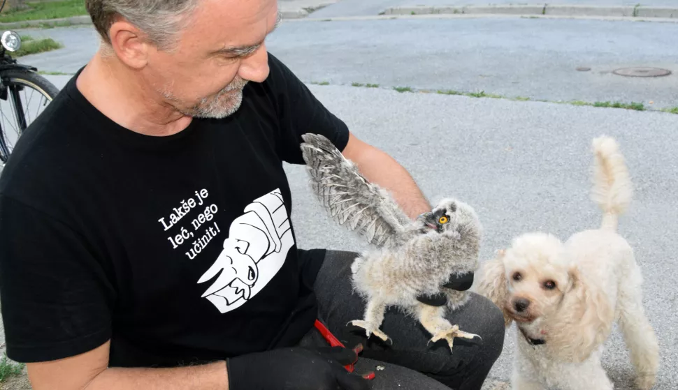 sova u&scaron;ara, Tibor Miku&scaron;ka, Sjenjak 31.07.2020.