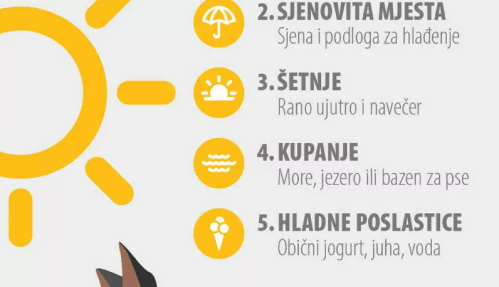 Psima je vruće na pasjim vrućinama<br>infografika<br>zooplus.hr