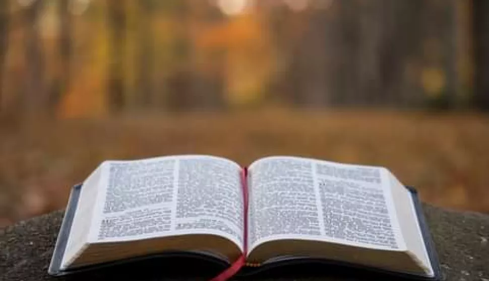 Biblija - Lectio divina - najava