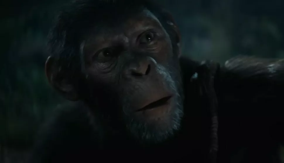 Planeta majmuna 2024